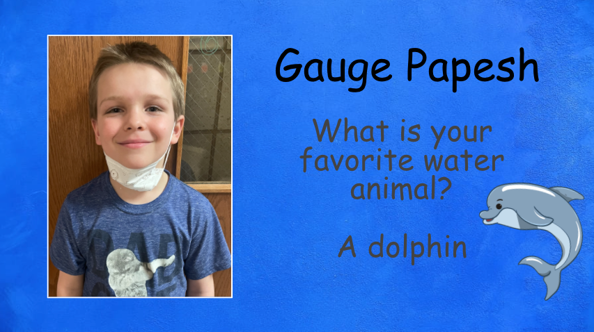 Gauge