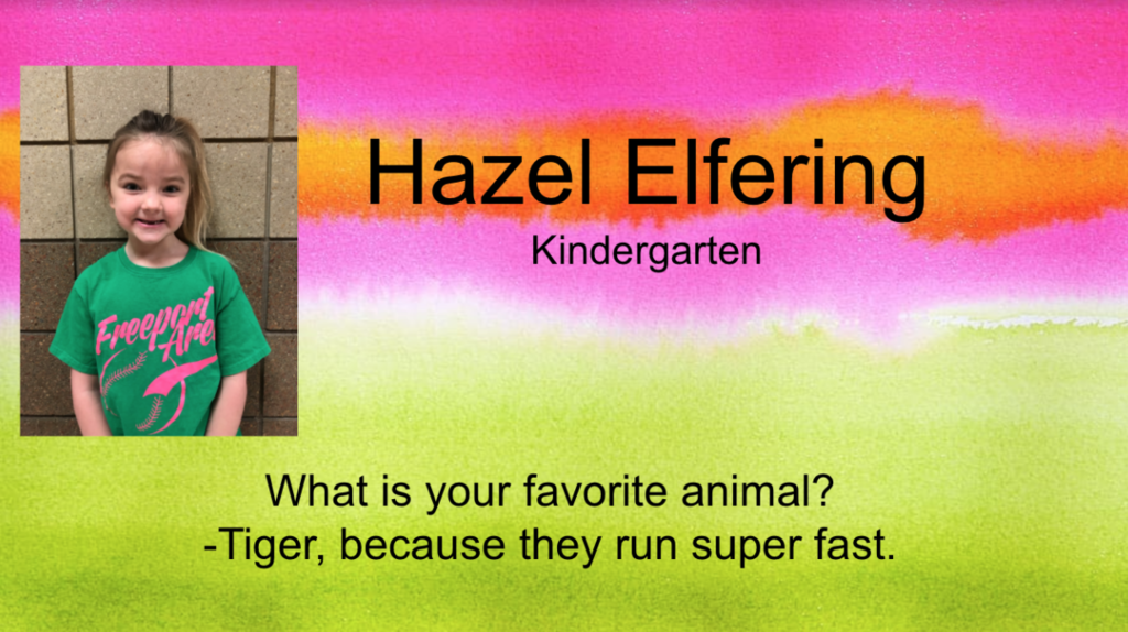 Hazel Elfering