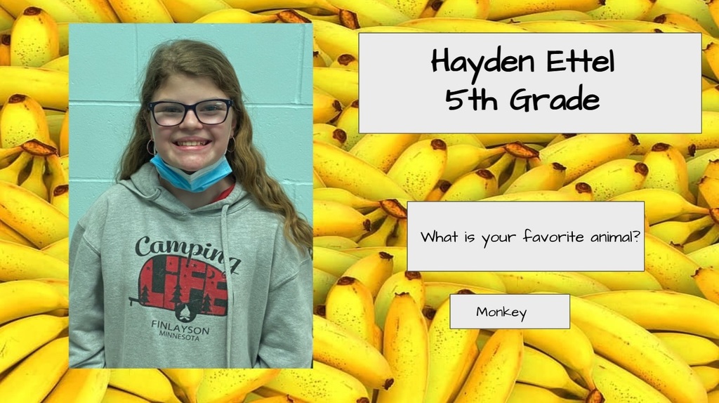 Hayden Ettel
